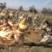 Dynasty Warriors 9 feature image