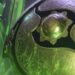 TI 2018 Is Coming And Here Are The Ticket Prices And Venue!