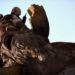 [UPDATE] God of War Review – 10/10 Game of the Year!