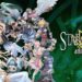 Star Ocean: Anamnesis English Version Is Coming Out Soon Within This Month!