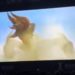 Monster Hunter Movie
