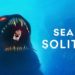 Sea of Solitude Review – Life is sometimes like treading water