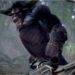 Rajang’s roaring return to Monster Hunter World: Iceborne