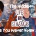 The Life Is Strange Game You Never Heard Of