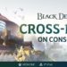 Console Black Desert to have cross-play support