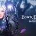 dark knight bdm