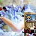 ONE PIECE PIRATE WARRIORS 4 available today!