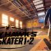 tony hawk pro skater