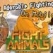 fight of animals mobile