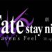 Fate/Stay Night Spring Song subject to cam leak in Taiwan