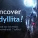 black desert o'dyllita
