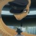 Beastars Season 2 Gets A New Trailer