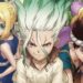 dr stone