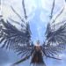 revelation mobile