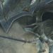 Demon’s Souls Beginner’s Guide – How To Survive The World of Boletaria