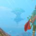 So you’re the chosen one? Dragon Quest XI S: Echoes of an Elusive Age PS4 review