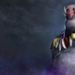 hadum boss rush