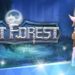 mist forest