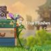 five flushes of fortune