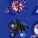 sony interactive entertainment