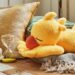 Chocobo Plushie