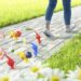 niantic pikmin