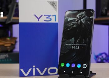 y31