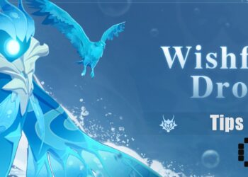 WISHFUL DROPS