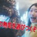 Godzilla Theme Park Ride