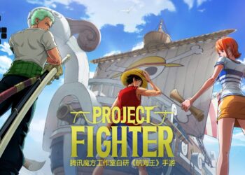 project fighter one piece