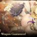Sinoalice Sleeping Beauty Minstrel