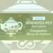 serenitea pot companion