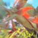 stories 2 update 3