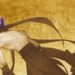 fate grand order wu zetian allegedly