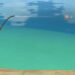 genshin fishing guide