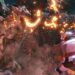 Monster Hunter Rise Update Ghosts n Goblins