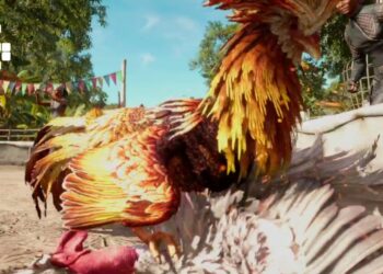 Cockfighting Far Cry 6