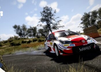 WRC 10 Update