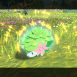Pokemon Legends Shaymin