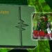 Stingmon Dim Card