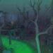 Dark Woods