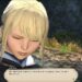 MMORPG Dying