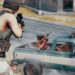 PUBG Review Bomb