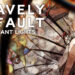 bravely default brilliant lights kv