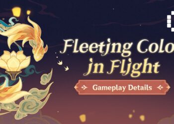 fleeting colours in flight