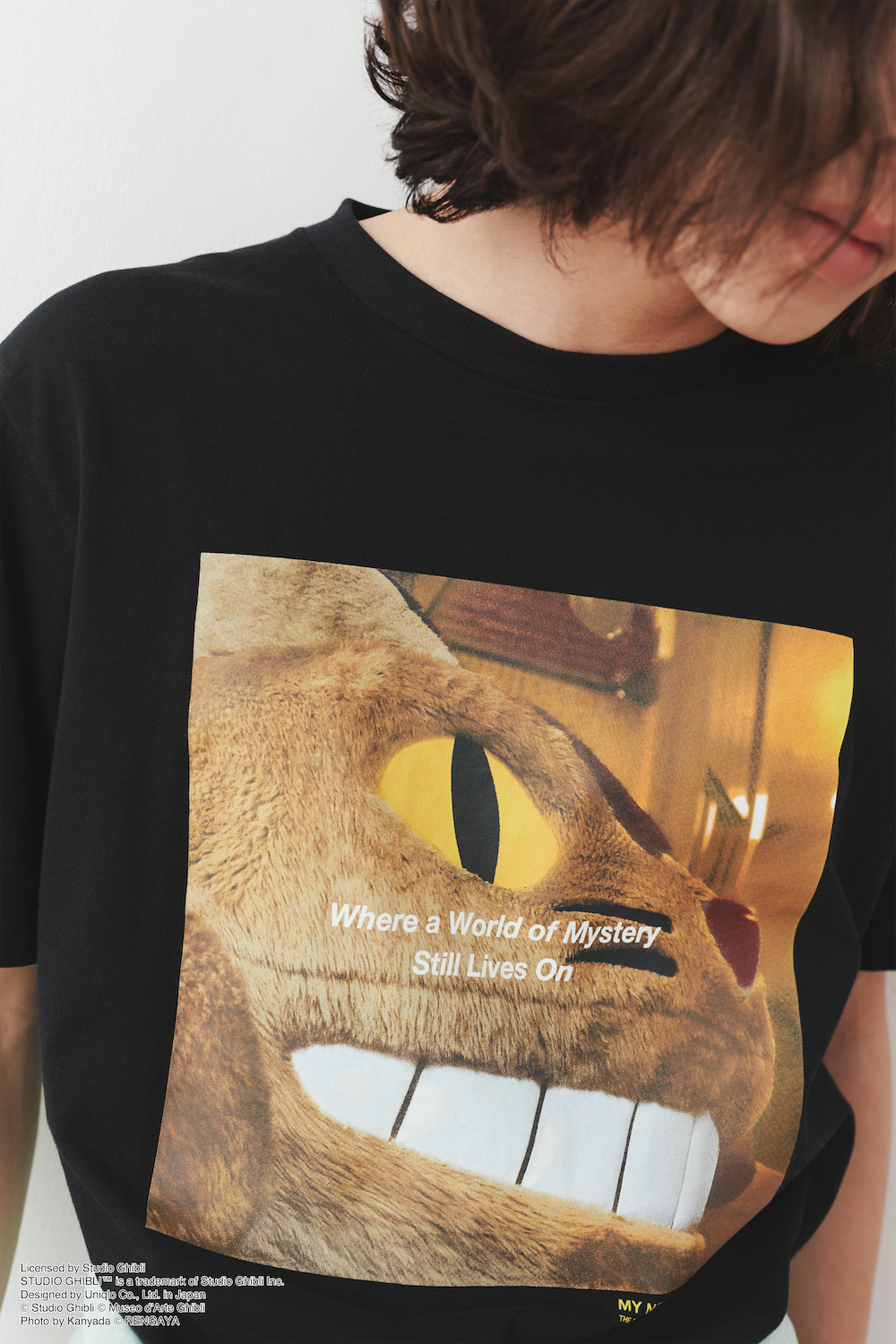 Uniqlo Ghibli