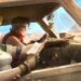 metal slug awakening ps5