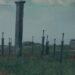 Elden Ring Hill of Swords Berserk