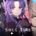 Soul Tide Reroll Tier List