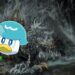 The Brave Room Episode 50